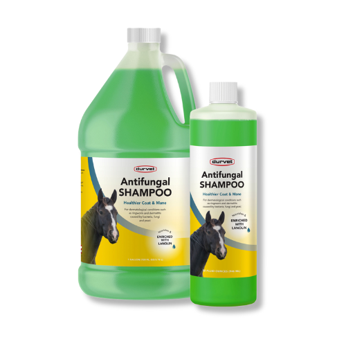 Durvet® - Antifungal Equine Shampoo #T-00978