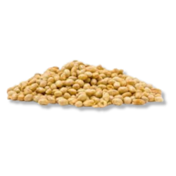 5-E Roasted Soybean 