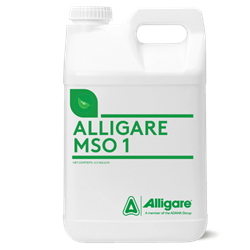 Alligare® MSO1 - Methylated Seed Oil 