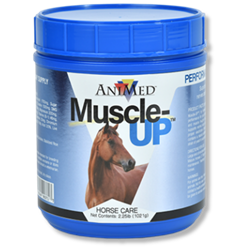 Animed® Muscle-UP™ for Horses 