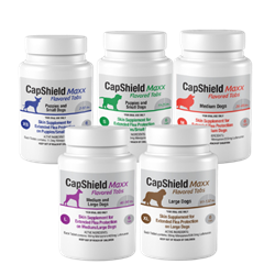 CapShield Maxx© Flavored Tabs - Canine CapShield, Maxx, Flavored, Tabs, Canine, Plus, scored, beef, flavored, tablet, additional, size, Dogs, 91-132, lbs., pounds,  Extra, Large, XL, more, precise, economical, dosing, options, Color, coded, eliminate, confusion, dosing, multiple, dogs, same, household, labels, weight, bands, Skin, Supplement, Extended, Flea, Protection, combination, Nitinpyram, Lufenuron, growth, inhibitor, IGR, stay, blood, stream, system, 30, days, thirty, fleas, blood, feed, meal, not, reproduce, sterilize, introduce, long-term, animal’s, environment, sun, breaks, down, yard, sprays, bedding, blankets, beds, furniture, vacuum, American, made, USA