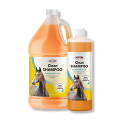 Clean Equine Shampoo 