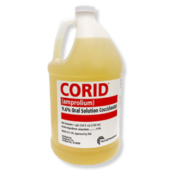 Corid® 9.6% Oral Solution Corid, 9.6, Gallon, Merial, Amprolium, solution, prevention, treatment, coccidiosis, calves, calf, Palatable , cattle, cow, bovine, safe, easy, administer, drench