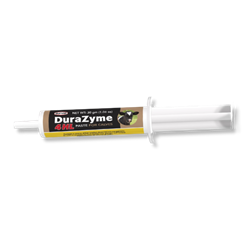Durvet® DuraZyme 4HL Paste for Calves 