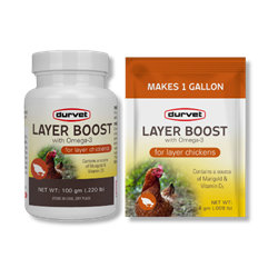 Durvet® Layer Boost with Omega-3 Durvet®, Healthy, Flock®, Layer, Boost, Omega-3, Poultry, chicken, supplies, vitamins, electrolytes, layer, egg, quality, quantity, blend, vitamins, electrolytes, enzyme, omega, 3, Marigold, daily, use, source, live, viable, direct, fed, microorganisms, D3, easy, scoop, packet, per, gallon, drinking, water, soluble, products