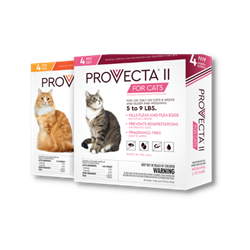 Provecta® Advanced for Cats 