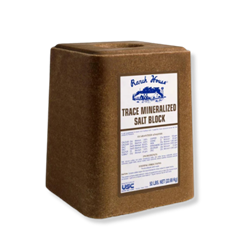 Ranch House Trace Mineral Salt Block 