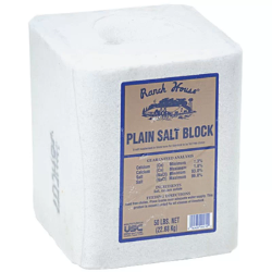 Ranch House White Salt Block 