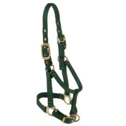 Valhoma® Pony Suckling Halter Valhoma®, Pony, Suckling, Halter, Equine, Horse, halters