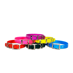 Valhoma® Neon Plastic Collar Valhoma, Neon, Plastic, Collar, Pet, Supplies, canine, dog, water proof, water, proof, assorted, stink, free, colorful, 810,820,830